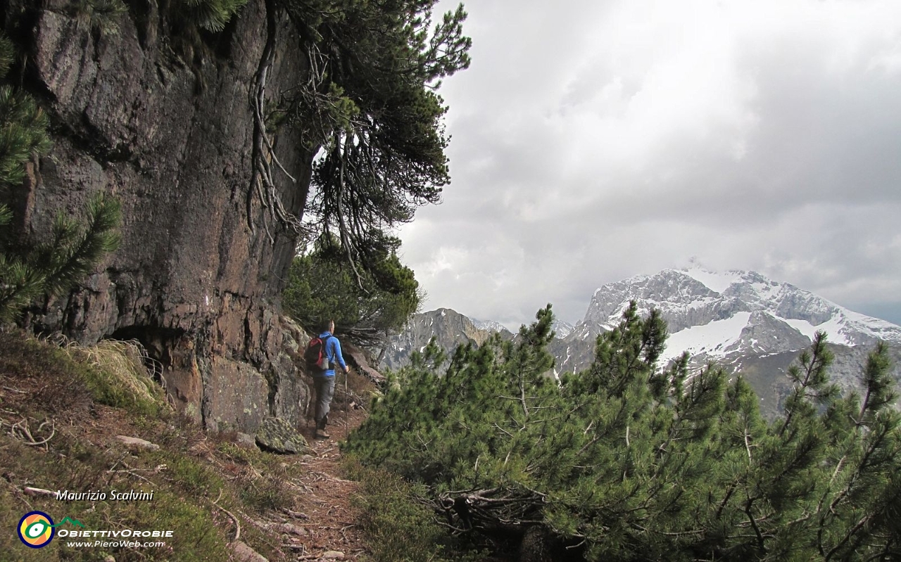 27 Sulla strada di ritorno...JPG